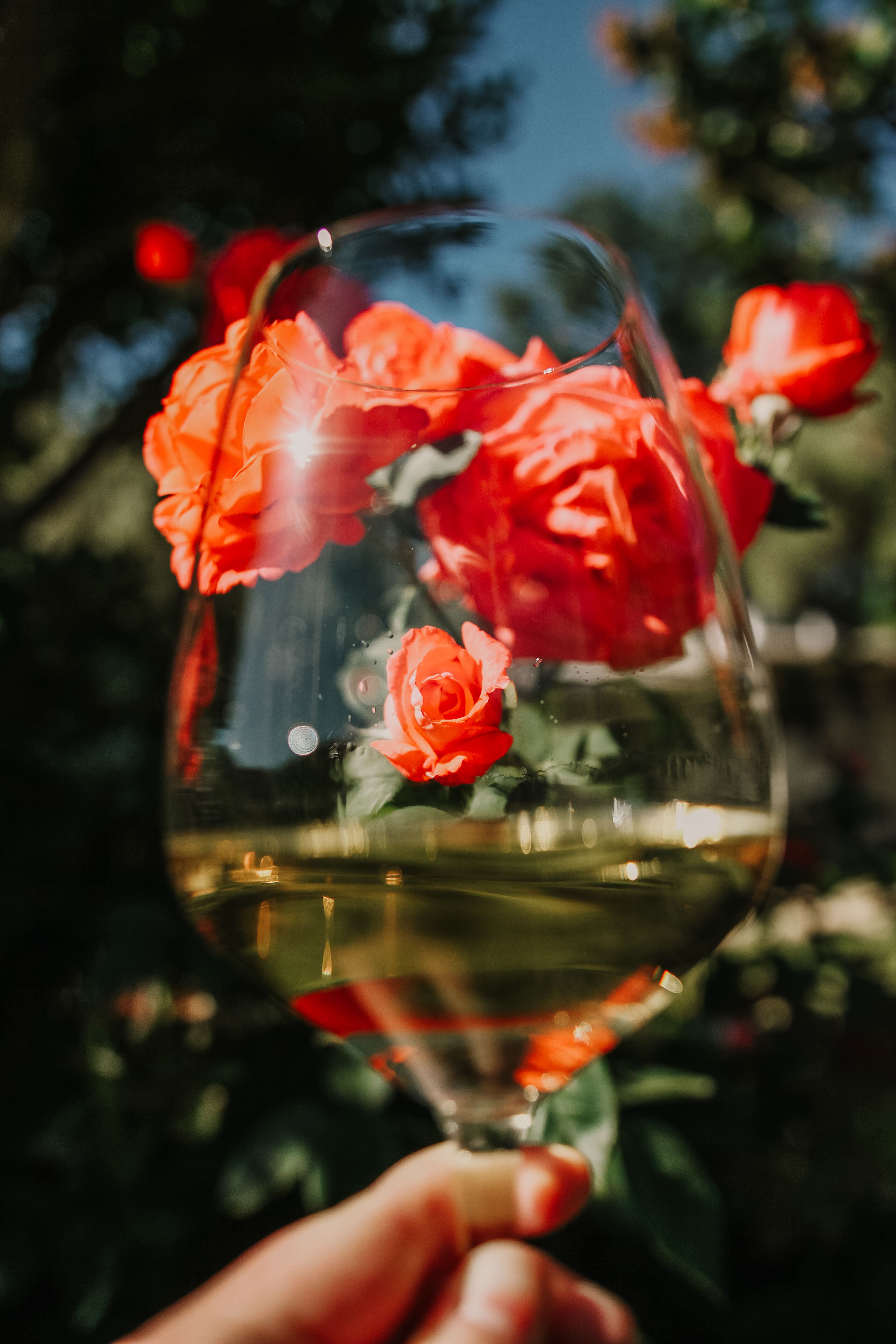 Your Guide to an Unforgettable August Wine Country Getaway