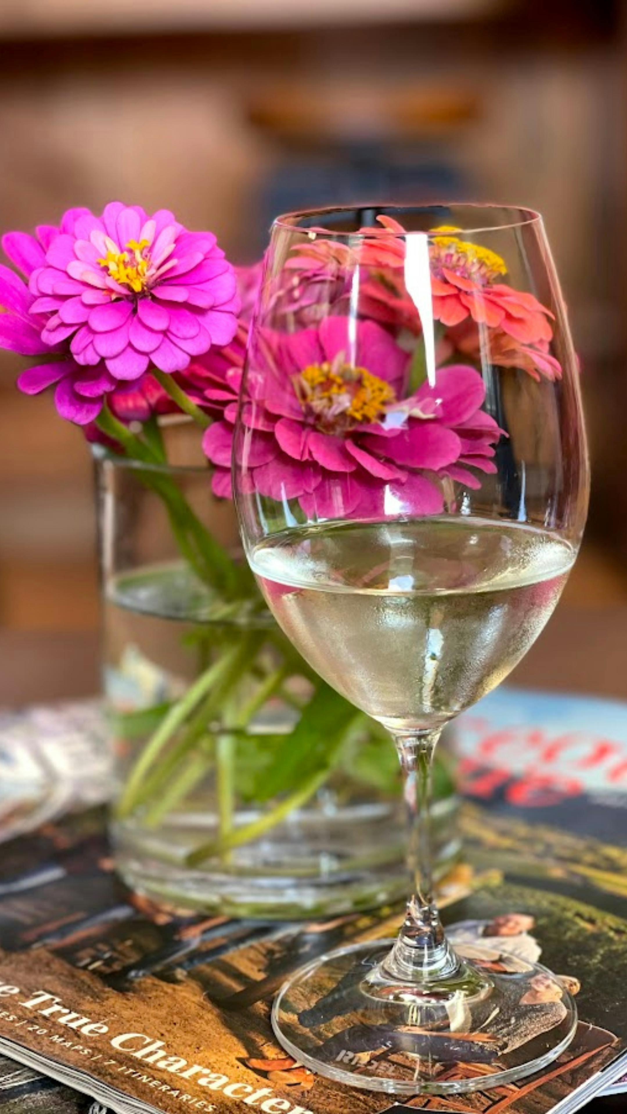 Sonoma vs. Napa for White Wine Lovers: Which Region Is Right for You?