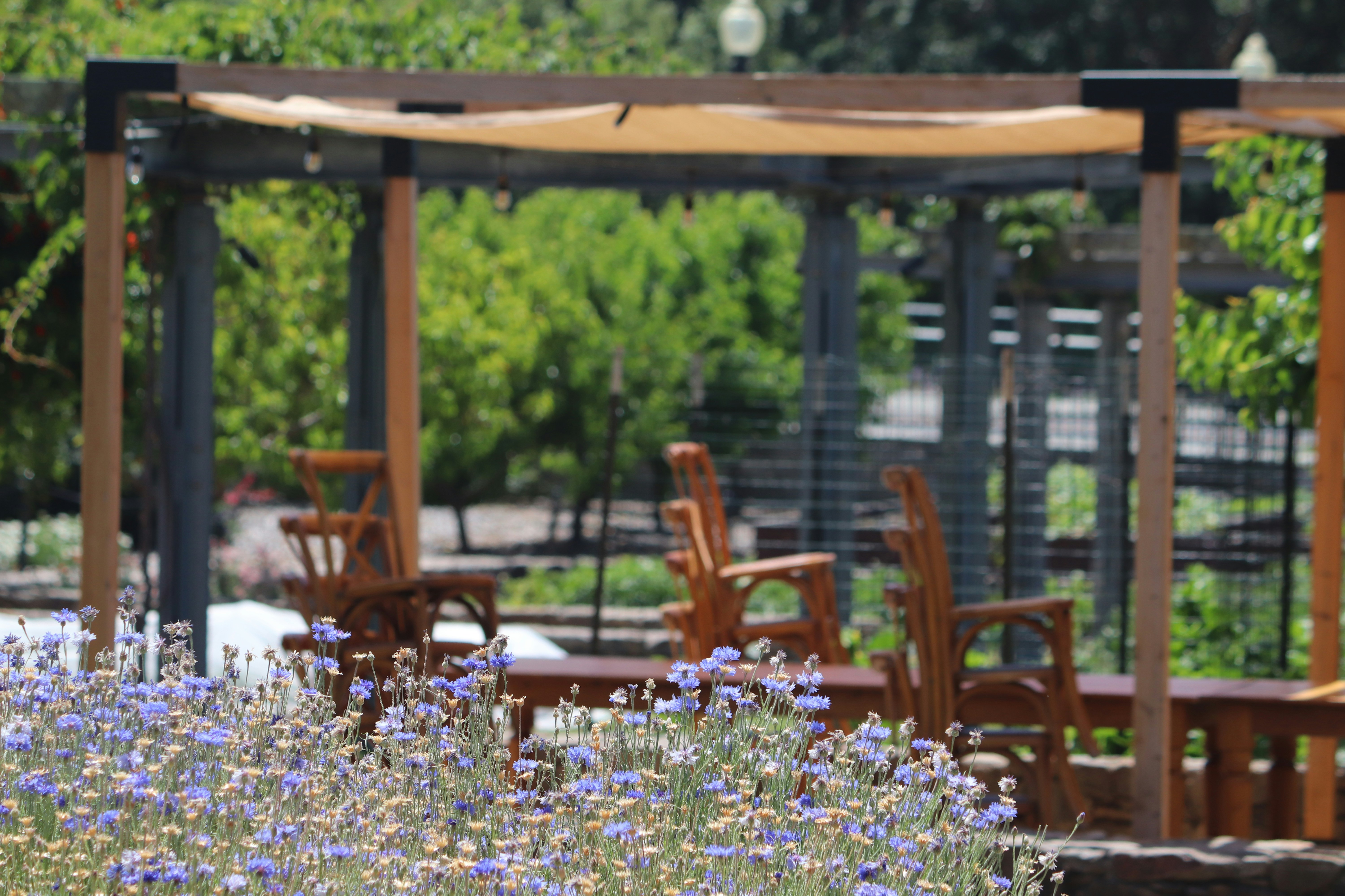 Why Summer Is the Best Time to Visit Wine Country
