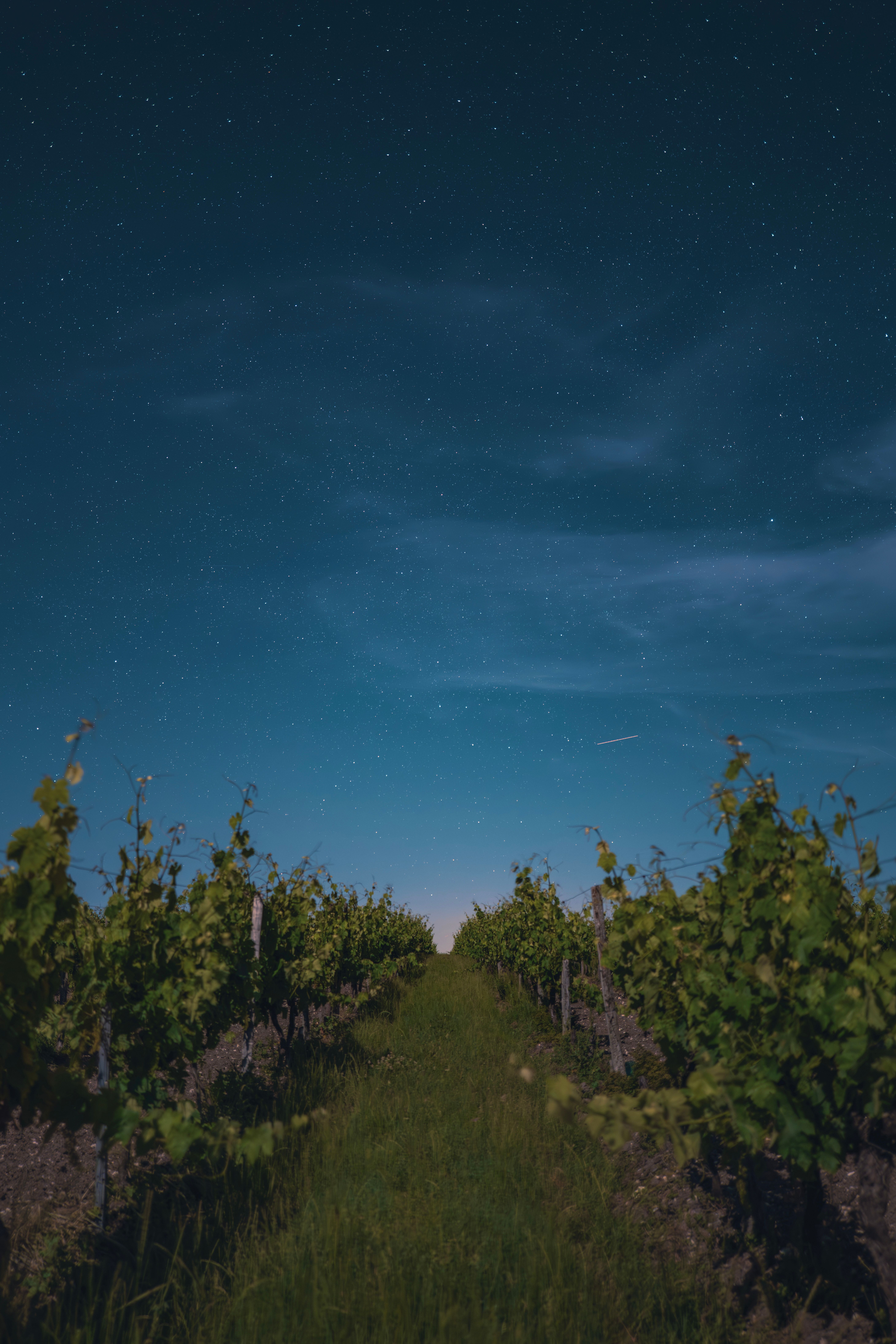 Your Wine Horoscope: What Libra Season Means for Your Glass
